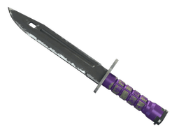 ★ StatTrak™ Bayonet | Ultraviolet (Field-Tested)