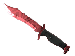 ★ StatTrak™ Bowie Knife | Slaughter (Minimal Wear)