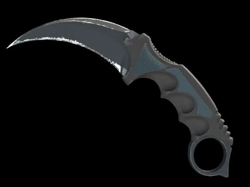 ★ StatTrak™ Karambit | Night