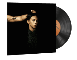 StatTrak™ Music Kit | PVRIS, Evergreen