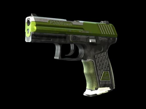 StatTrak™ P2000 | Turf