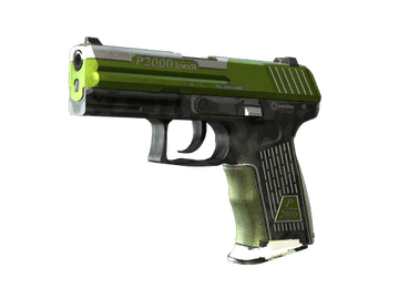 StatTrak™ P2000 | Turf