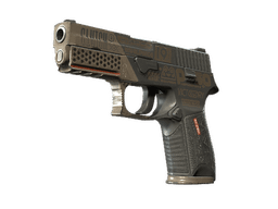 StatTrak™ P250 | Bullfrog (Field-Tested)