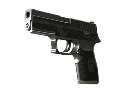 StatTrak™ P250 | Cartel (Battle-Scarred)