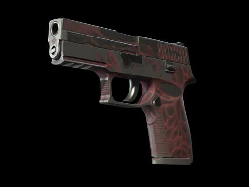 StatTrak™ P250 | Contaminant (Battle-Scarred)