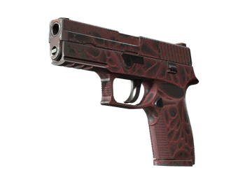 StatTrak™ P250 | Contaminant (Field-Tested)