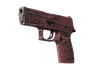 StatTrak™ P250 | Contaminant (Minimal Wear)