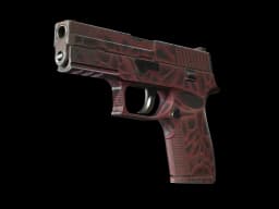 StatTrak™ P250 | Contaminant (Well-Worn)