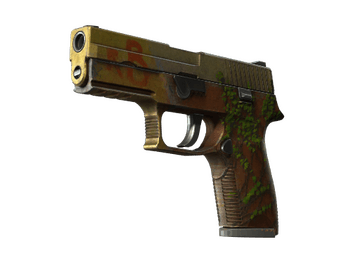 StatTrak™ P250 | Inferno