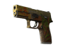 StatTrak™ P250 | Inferno (Battle-Scarred)