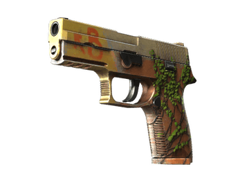 StatTrak™ P250 | Inferno