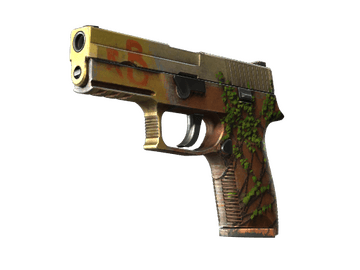 StatTrak™ P250 | Inferno (Well-Worn)