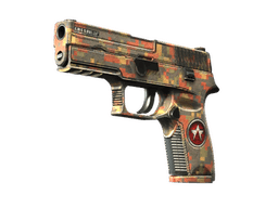 StatTrak™ P250 | Red Rock (Field-Tested)