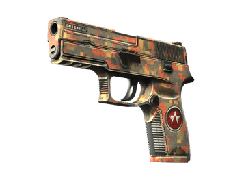 StatTrak™ P250 | Red Rock (Well-Worn)