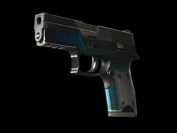 StatTrak™ P250 | Valence (Battle-Scarred)