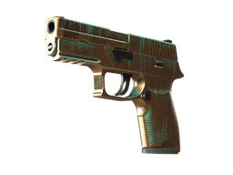 StatTrak™ P250 | Verdigris (Minimal Wear)