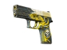 StatTrak™ P250 | Wingshot (Battle-Scarred)