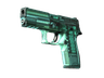 StatTrak™ P250 | X-Ray (Field-Tested)