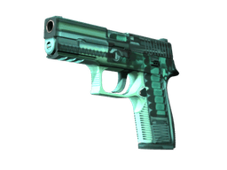 StatTrak™ P250 | X-Ray (Minimal Wear)