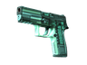 StatTrak™ P250 | X-Ray (Minimal Wear)