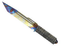 ★ StatTrak™ Paracord Knife | Case Hardened (Field-Tested)