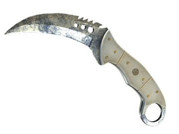 ★ StatTrak™ Talon Knife | Stained (Battle-Scarred)