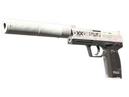 StatTrak™ USP-S | Printstream (Battle-Scarred)