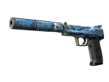 StatTrak™ USP-S | Silent Shot (Battle-Scarred)