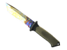 ★ Ursus Knife | Case Hardened (Well-Worn)