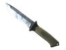★ Ursus Knife | Stained (Factory New)