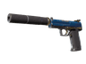 USP-S | Royal Guard (Well-Worn)