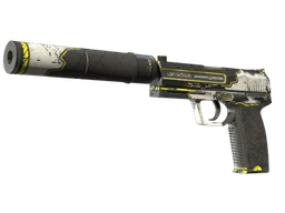 USP-S | Torque (Field-Tested)