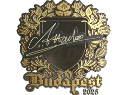 Sticker | Attacker (Gold) | Budapest 2025
