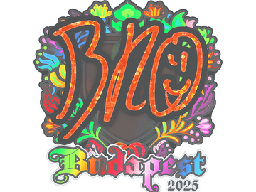 Sticker | br0 (Holo) | Budapest 2025