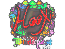 Sticker | HooXi (Holo) | Budapest 2025