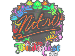 Sticker | nitr0 (Holo) | Budapest 2025