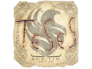 Sticker | TeSeS | Austin 2025