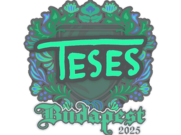 Sticker | TeSeS | Budapest 2025