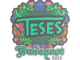 Sticker | TeSeS (Embroidered) | Budapest 2025