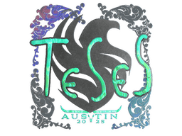 Sticker | TeSeS (Holo) | Austin 2025