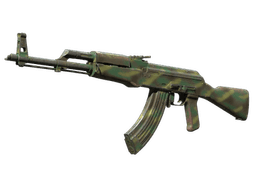 AK-47 | Jungle Spray (Well-Worn)