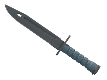 ★ Bayonet | Night (Minimal Wear)