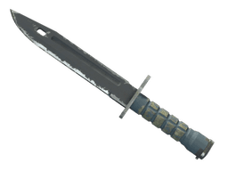 ★ Bayonet | Night (Well-Worn)