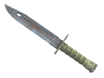 ★ Bayonet | Rust Coat (Well-Worn)