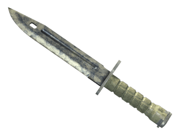 ★ Bayonet | Stained (Battle-Scarred)