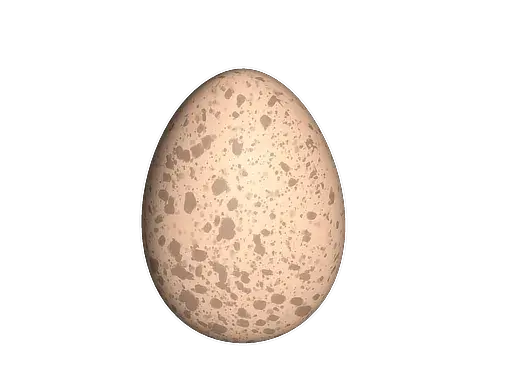 CS2 pet egg stage