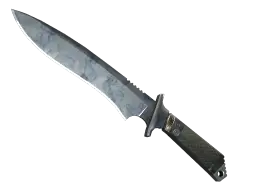 ★ Classic Knife | Stained (Minimal Wear)