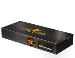 DreamHack 2014 Overpass Souvenir Package