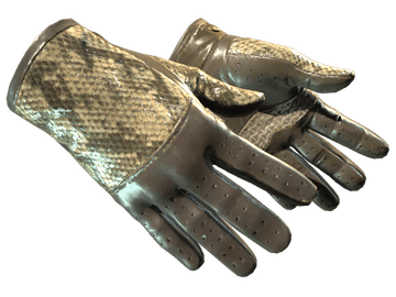 ★ Driver Gloves | Diamondback (Field-Tested)