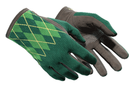 ★ Driver Gloves | Hand Sweaters (Minimal Wear)